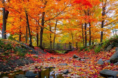 Sep 1, 2023 · Aug. 24, 2023, 2:16 PM ET (AP) autumn, season of the year between summer and winter during which temperatures gradually decrease. It is often called fall in the United States because leaves fall from the trees at that time. 